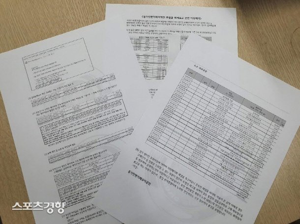 Song Ga-in’s FanCafe “Again” Caught in a Controversy of Embezzlement and Unjust Expenses Song Ga-in’s FanCafe “Again” Caught in a Controversy of Embezzlement and Unjust Expenses