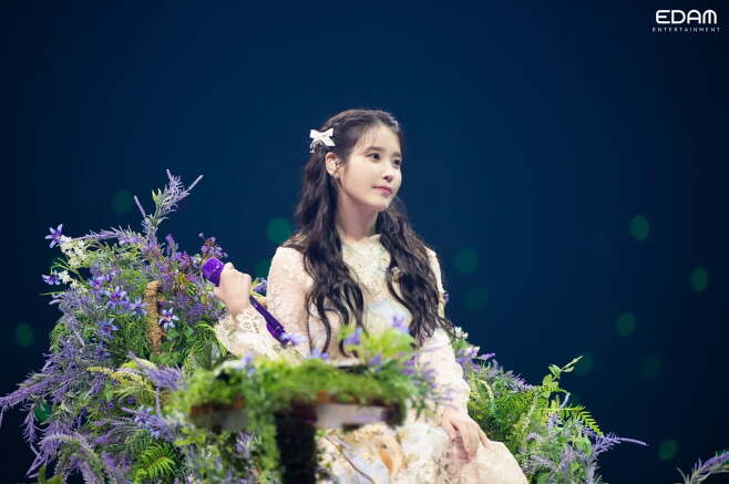 IU Celebrates 15th Anniversary with Grand Fan Concert: 'See You Again in 15 Years!'