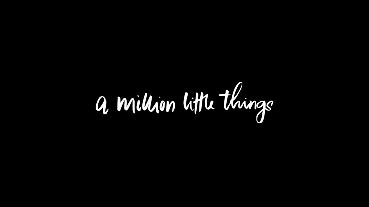 A Million Little Things A Million Little Things