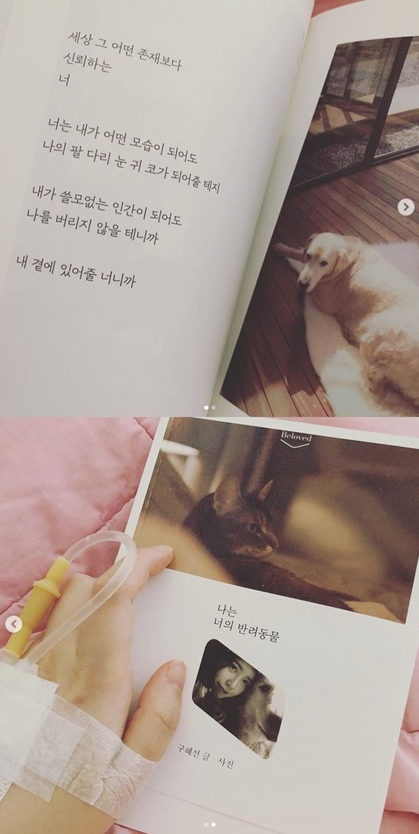 Goo Hye Sun Hospitalized, Nothing Happened, Deleting the Post about Oh Yeon Seo Goo Hye Sun Hospitalized, Nothing Happened, Deleting the Post about Oh Yeon Seo
